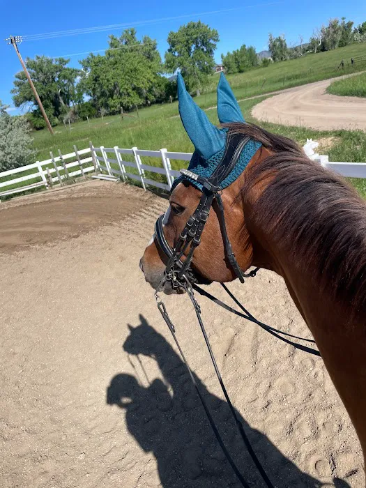 Wind Dance Equestrian Center Picture 7