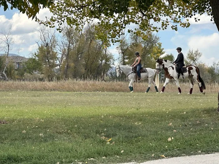 Wind Dance Equestrian Center Picture 9