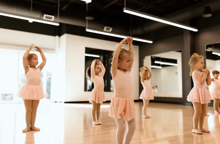 Eleve Dance Academy Picture 2
