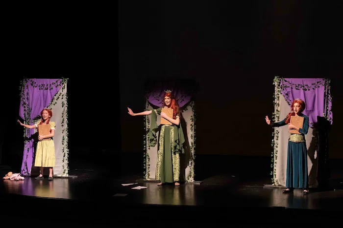 NoCo Theatrix Children's Theater and Dance Classes Picture 1