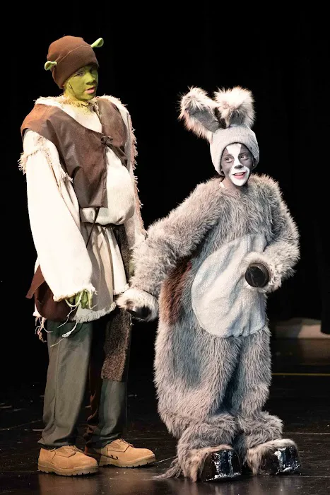 NoCo Theatrix Children's Theater and Dance Classes Picture 9