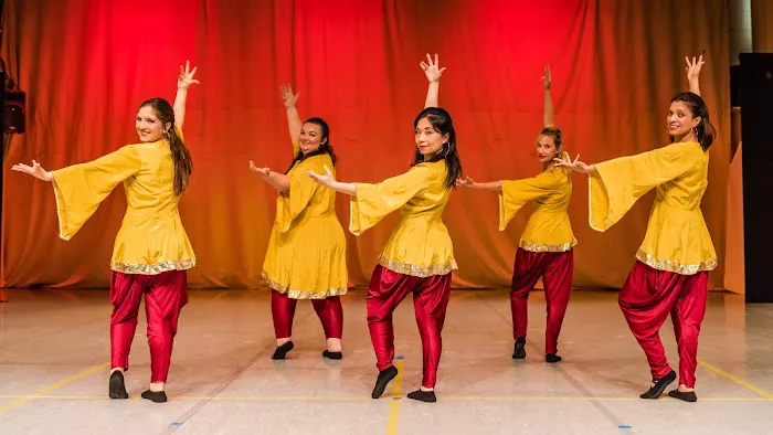 Monsoon Dance Company Picture 3