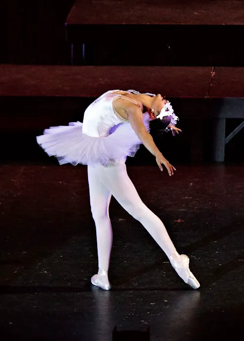 High Country Conservatory of Music & Dance Picture 8