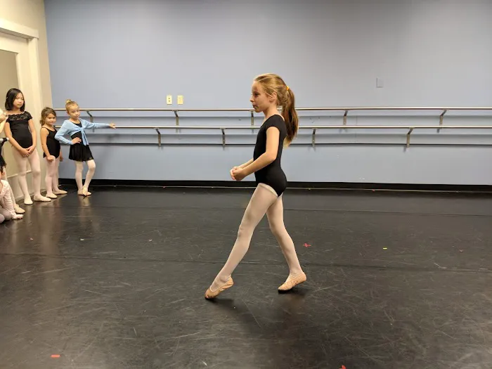 Contemporary Dance Academy Picture 3
