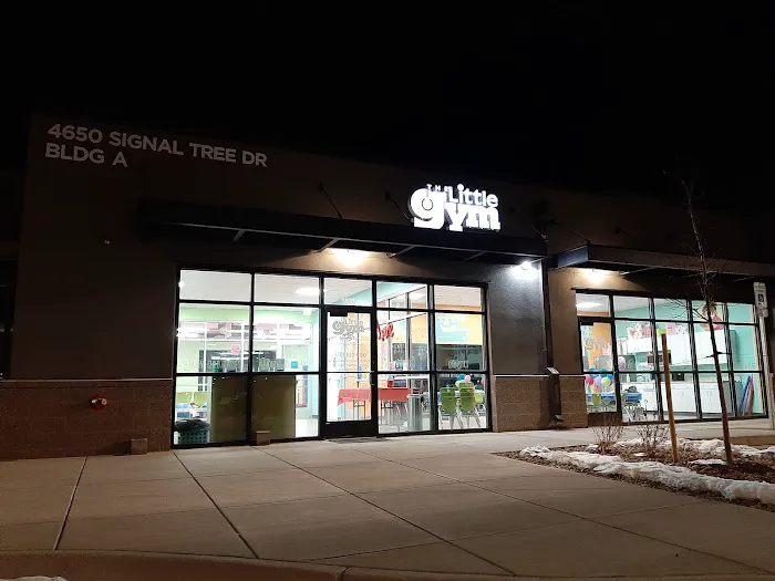 The Little Gym of Fort Collins/Timnath Picture 1
