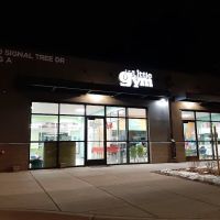 The Little Gym of Fort Collins/Timnath ico