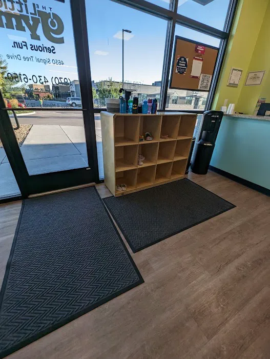 The Little Gym of Fort Collins/Timnath Picture 7