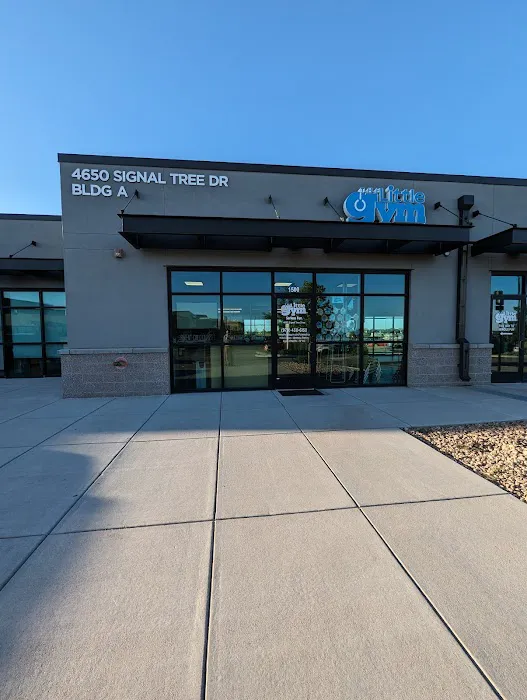 The Little Gym of Fort Collins/Timnath Picture 8