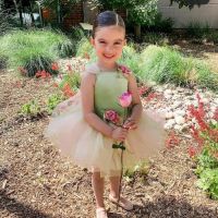 Studio West Dance Center ico