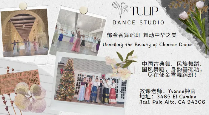 Tulip Dance Studio Picture 3