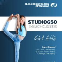 Studio650 ico