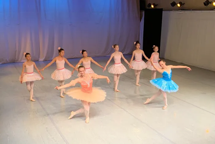 DanceVisions Picture 6