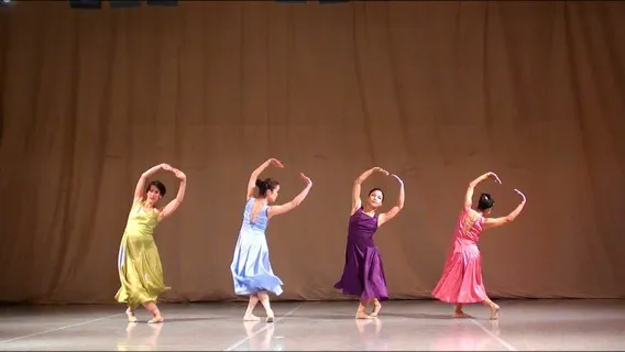 DanceVisions Picture 5