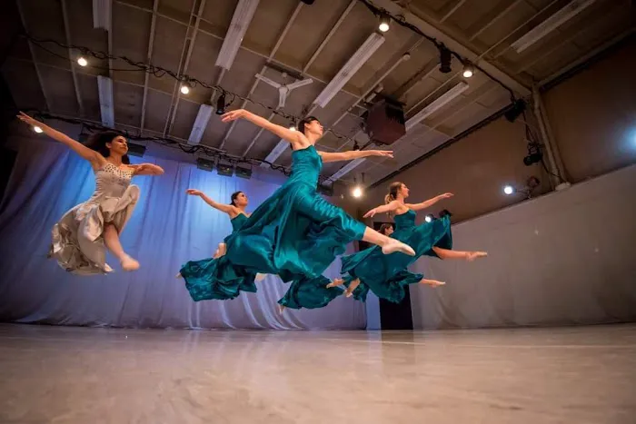 DanceVisions Picture 4