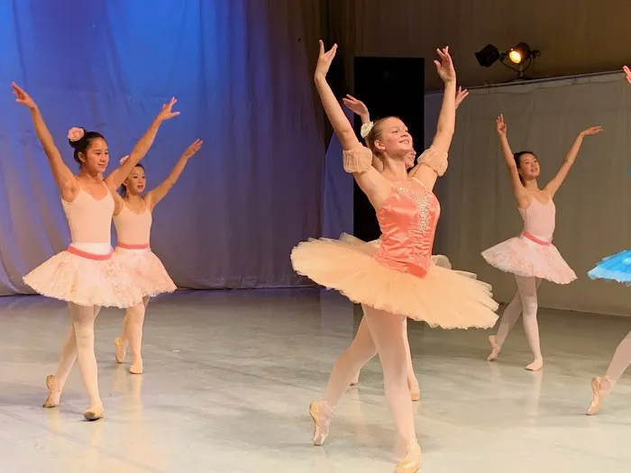 DanceVisions Picture 1