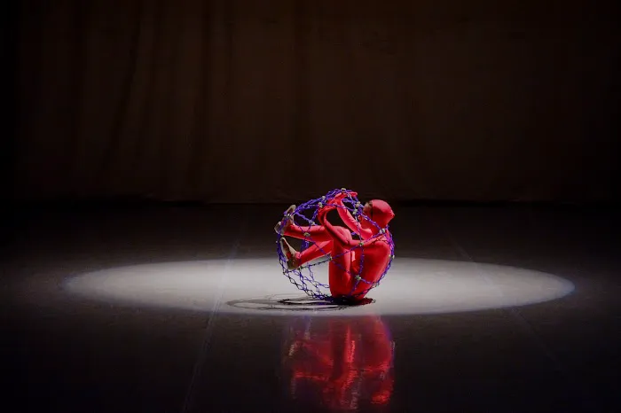 DanceVisions Picture 7