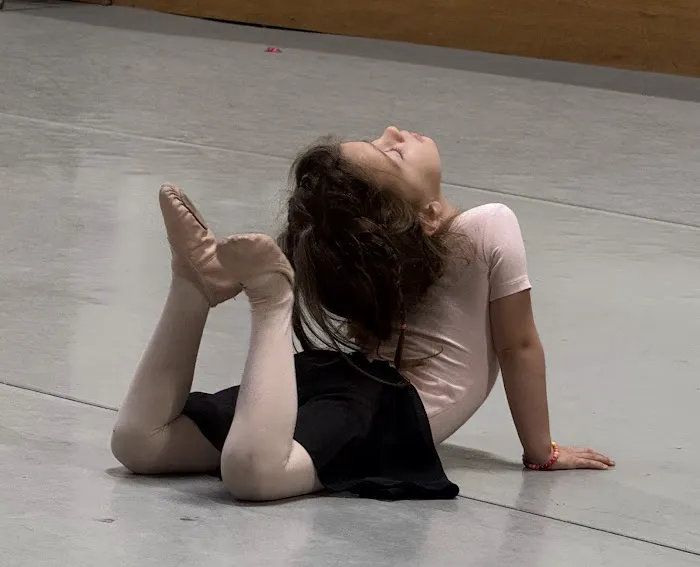 Western Ballet Picture 4