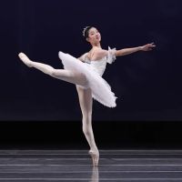 Osipova Ballet Academy ico