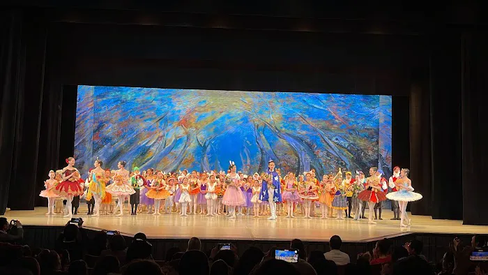 Bayer Ballet Academy School Picture 8