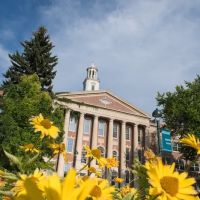 University Center for the Arts ico