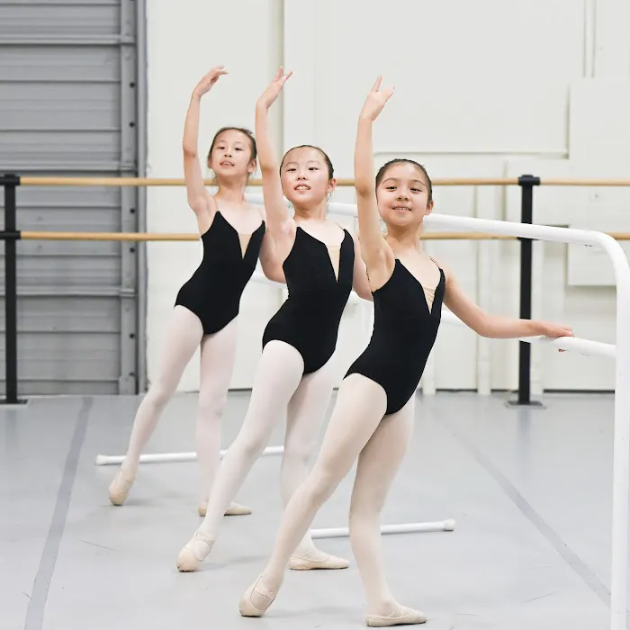Osipova Ballet Academy Picture 2