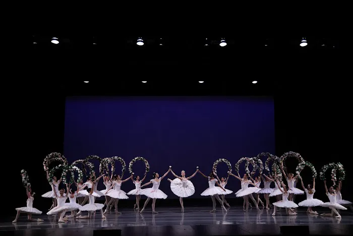 Osipova Ballet Academy Picture 5