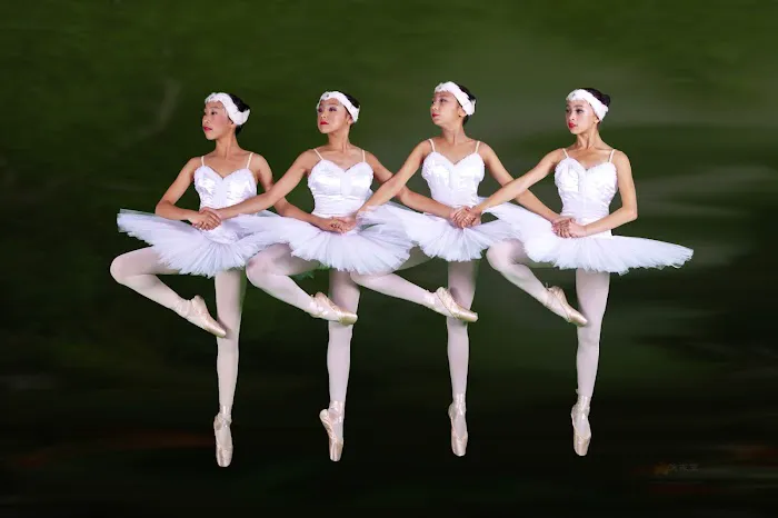 New Century Dance Picture 7
