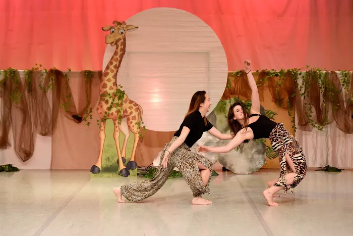 Harmony Dance Center Picture 3