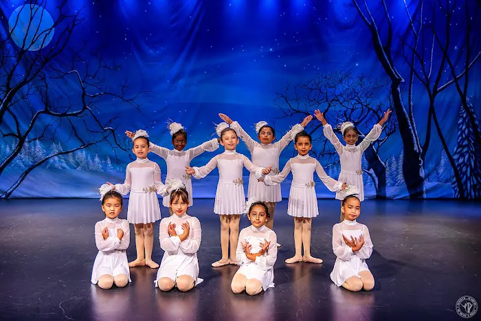 Veksler Academy of Music & Dance Picture 6