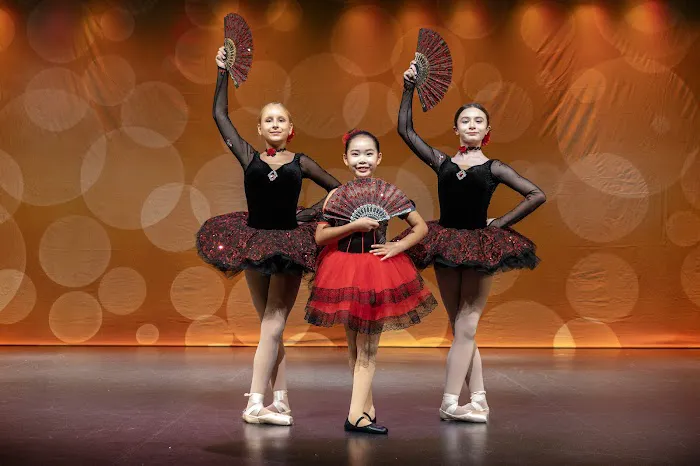 Veksler Academy of Music & Dance Picture 2