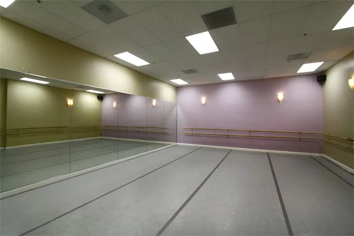The Dance Studio Picture 9