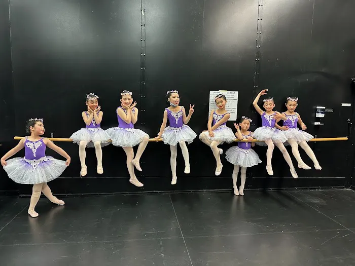 The Dance Studio Picture 4