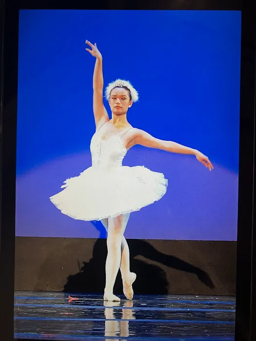 The Dance Studio Picture 6