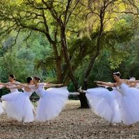 Yu Xin Ballet School ico