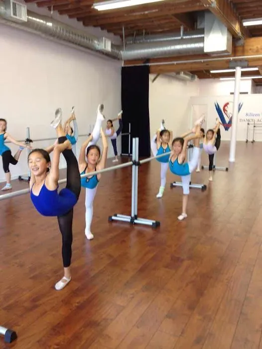 Silicon Valley Dance Academy Picture 9