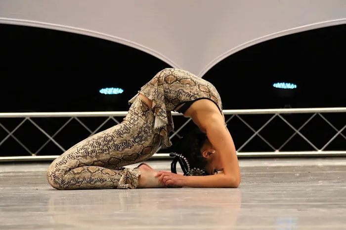 Silicon Valley Dance Academy Picture 2