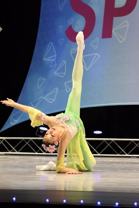 Silicon Valley Dance Academy Picture 5