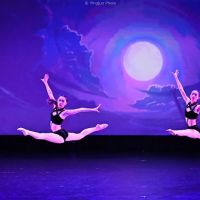 Silicon Valley Dance Academy ico