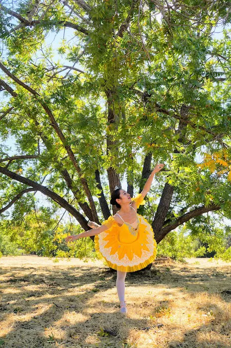 Ako Ballet Dance School Picture 8