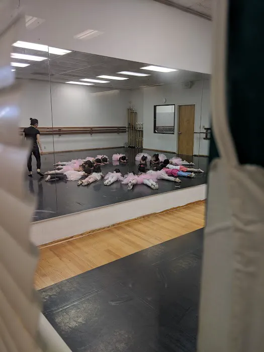 Jun Lu Performing Arts Picture 6