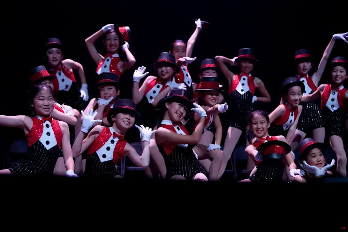 Jun Lu Performing Arts Picture 4