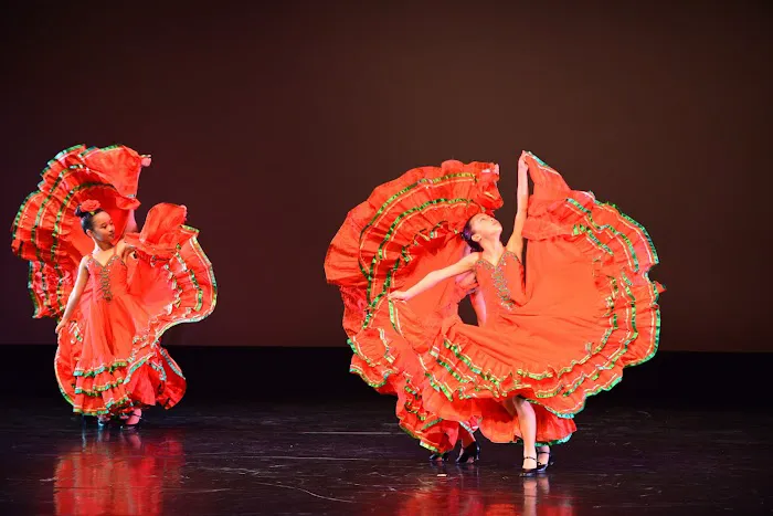Jun Lu Performing Arts Picture 2