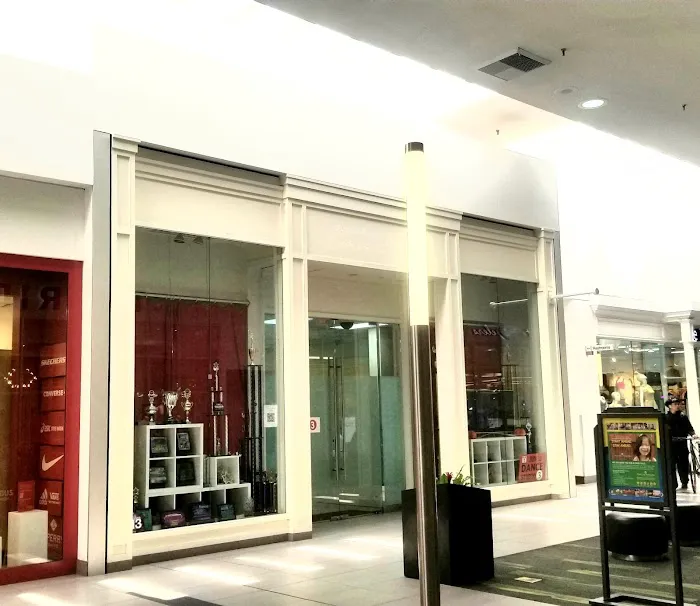 Jun Lu Performing Arts Picture 9