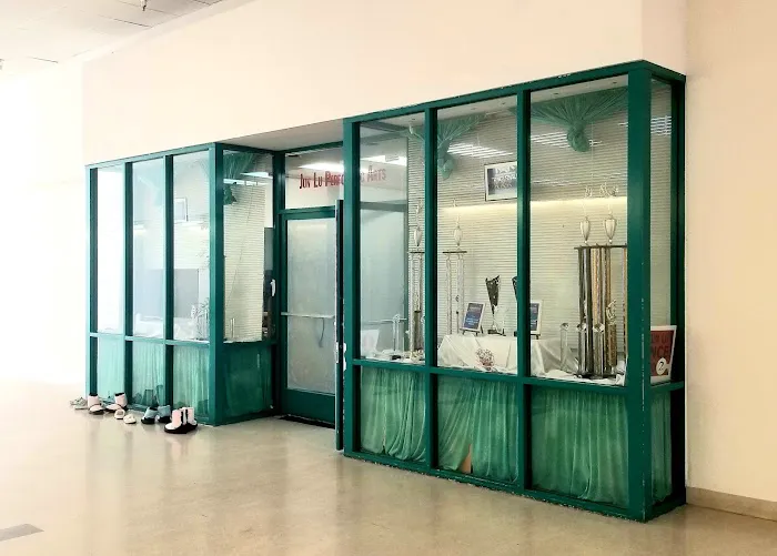 Jun Lu Performing Arts Picture 1