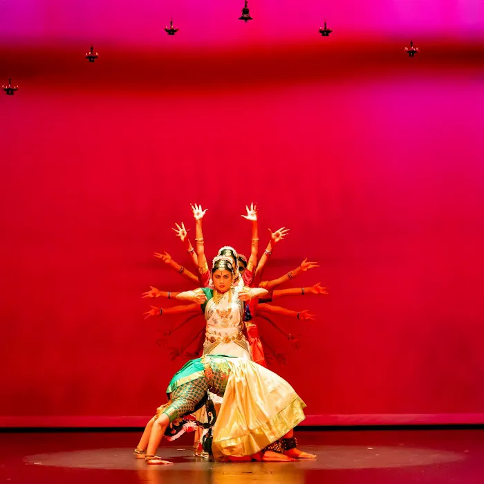 Nrityaarpana Dance Academy, San Jose Picture 8