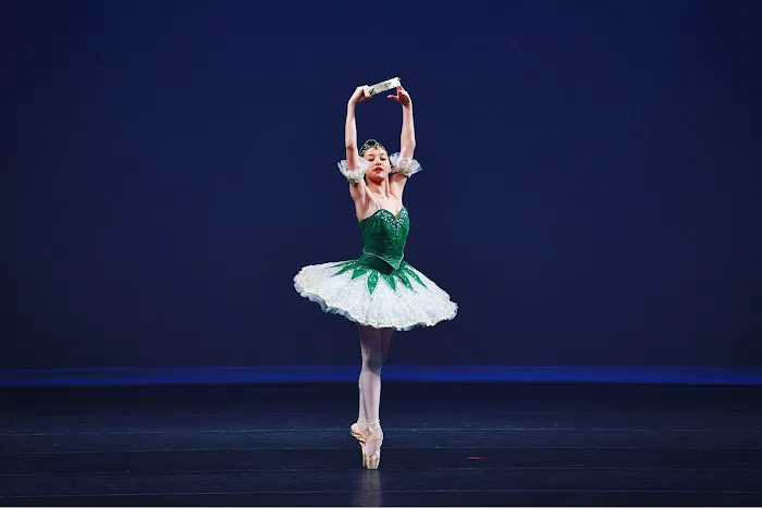 San Jose Dance Theatre Picture 5