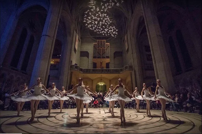 San Jose Dance Theatre Picture 9