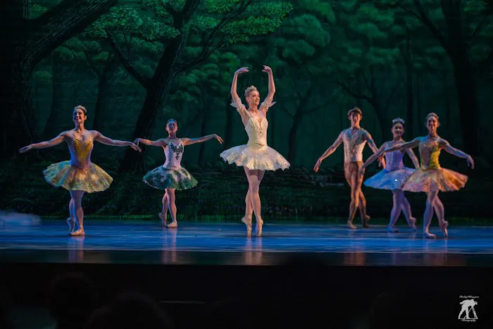 San Jose Dance Theatre Picture 7