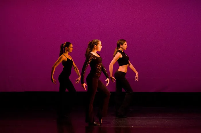Donna Cerio’s Broadway Dance & Broadway Ballet Classes Picture 9