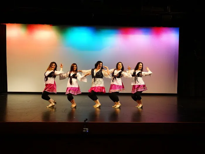 Niosha Dance Academy Picture 2